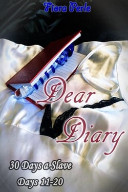 Dear Diary - Thirty Days A Slave (Days 11-20) - Dear Diary: Thirty Days A Slave, #2