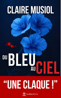 Du bleu au ciel