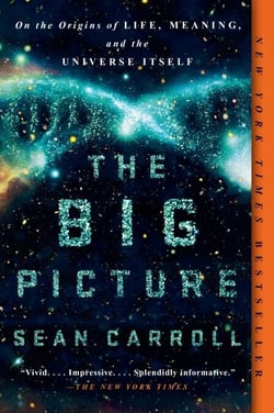 The Big Picture - On the Origins of Life, Meaning, and the Universe Itself