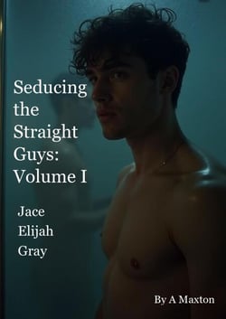 Seducing the Straight Guys Volume 1 - Seducing the Straight Guys, #100
