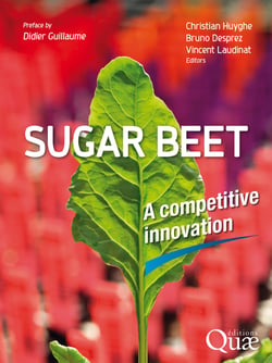 Sugar beet - A competitive innovation