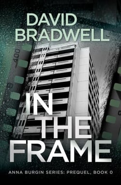 In The Frame: Series Prequel Mystery Novella - Anna Burgin, #0