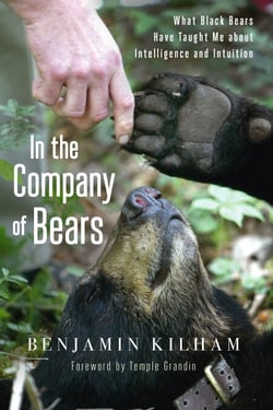In the Company of Bears - What Black Bears Have Taught Me about Intelligence and Intuition