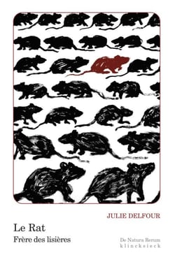 Le Rat - Frère des lisières