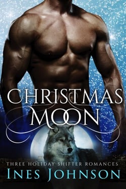 Christmas Moon