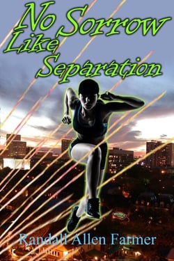No Sorrow Like Separation - The Commander, #5