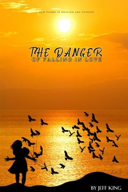 The Danger Of Falling In Love New Poems In English &amp; Spanish