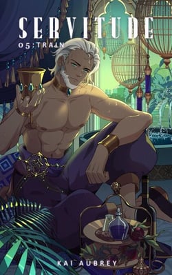 Servitude: Part V - Train - Servitude: MM/Gay Demon Fantasy, #5