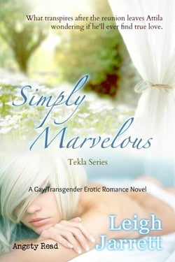 Simply Marvelous: Gay/Transgender Romance - Tekla