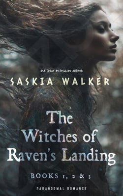 Witches of Raven's Landing Series Boxed Set - Witches of Raven's Landing