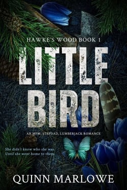 Little Bird: An MFM, Stepdad, Lumberjack Romance - Hawke's Wood, #1