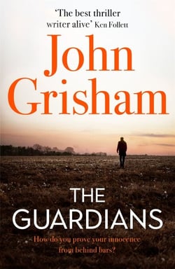 The Guardians - The heart-stopping crime thriller from the number 1 Sunday Times bestselling author
