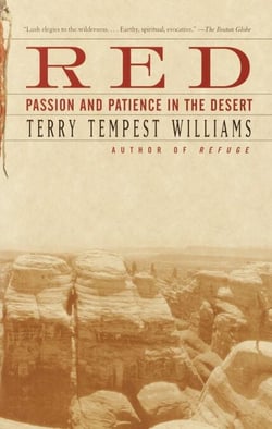 Red - Passion and Patience in the Desert