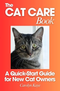 The Cat Care Book: A Quick-Start Guide for New Cat Owners