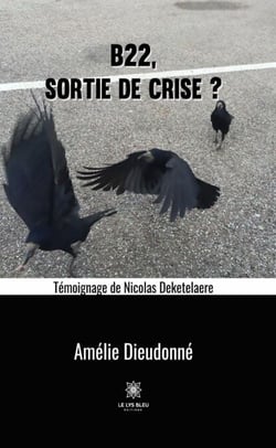 B22, sortie de crise ? - Roman