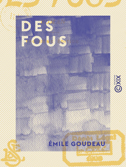 Des fous - Roman