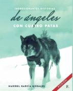 Impresionantes Historias  Reales de Ángeles con Cuatro Patas