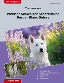 Traumrasse: Weisser Schweizer Schäferhund - Berger Blanc Suisse