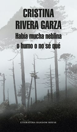 Había mucha neblina o humo o no sé qué - Caminar con Juan Rulfo