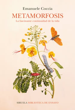 Metamorfosis - La fascinante continuidad de la vida