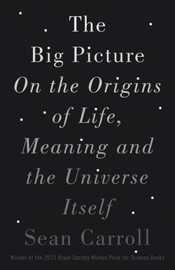 The Big Picture - On the Origins of Life, Meaning, and the Universe Itself