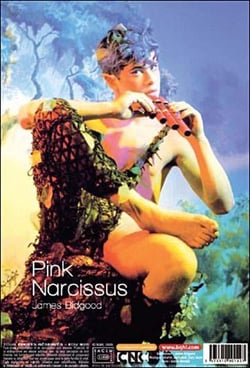 Pink Narcissus