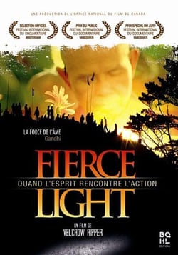 Fierce Light - When Spirit Meets Action