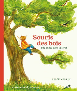 Souris des bois : Une année dans la forêt