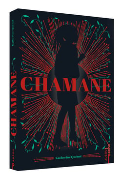 Chamane Tome 1