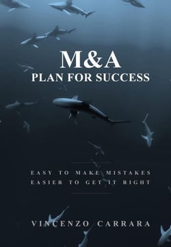 M&amp;A Plan for Success