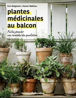 Plantes médicinales au balcon - Faites pousser vos remèdes du quotidien