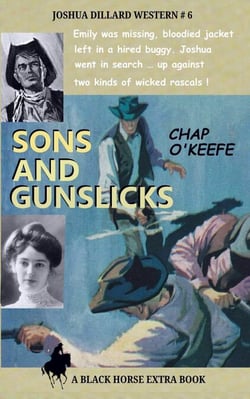 Sons and Gunslicks - Joshua Dillard Western, #6