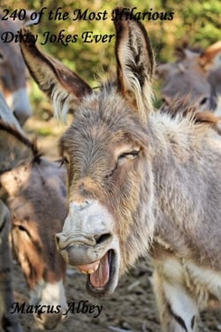 240 of the Most Hilarious Dirty Jokes Ever - Collections and Anthologies, #8