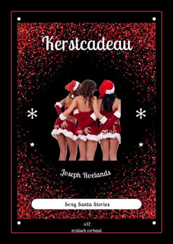 Kerstcadeau - Santa Stories, #12
