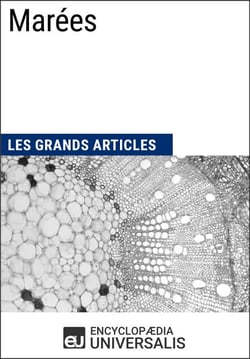 Marées - Les Grands Articles d'Universalis