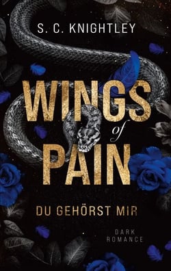 Wings of Pain - Du gehörst mir - Ein Dark-Romance-Roman