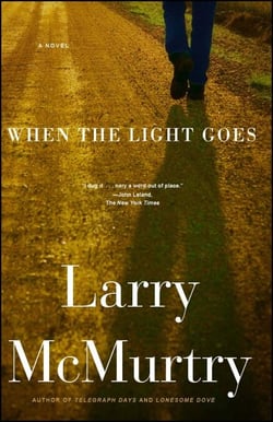 When the Light Goes - A Novel