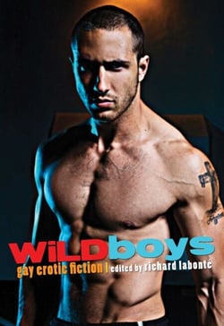 Wild Boys - Gay Erotic Fiction
