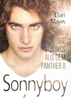 Sonnyboy - Die Jungs aus dem Panther 2
