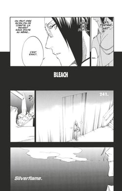 Bleach - T27 - Chapitre 241 - Silverflame.
