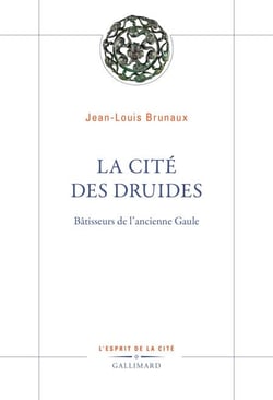 La Cité des druides. Bâtisseurs de l’ancienne Gaule