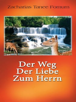Der Weg Der Liebe Zum Herrn - Der Weg Des Christen, #13