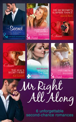Mr Right All Along - The Secret That Shocked De Santis / Breaking All Their Rules / Crown Prince's Chosen Bride / 'I Do'...Take Two! / The SEAL's Secret Heirs / His Secretary's Surprise Fiancé