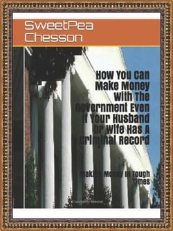 How You Can Make Money With The Government Even If Your Husband Or Wife Has A Criminal Record - 1, #1
