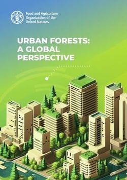 Urban Forests: A Global Perspective
