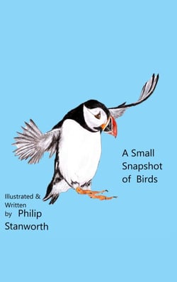 A Small Snapshot Of Birds - All The books together, #1