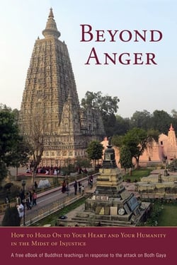 Beyond Anger - How to Hold On to Your Heart and Your Humanity in the Midst of Injustice