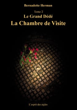 Le Grand Dédé - Tome 2 : La chambre de visite