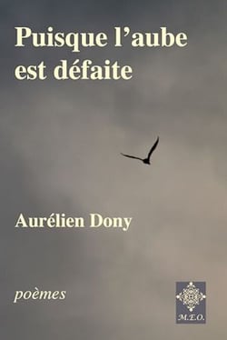 Puisque l'aube est défaite