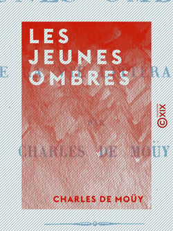 Les Jeunes Ombres - Récits de la vie litteraire